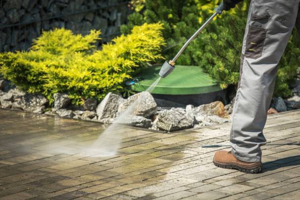 Best Roof Washing  in Mayo, MD