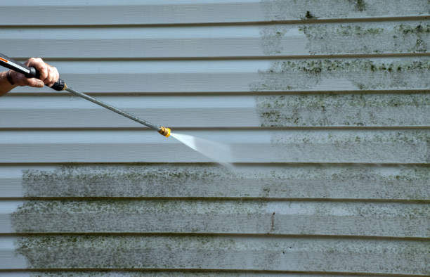 Best House Exterior Washing  in Mayo, MD