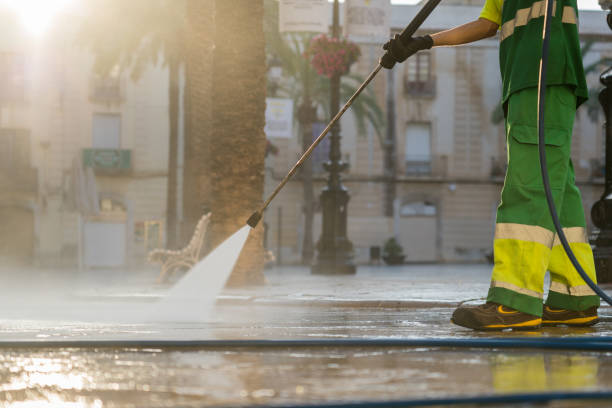 Best Driveway Pressure Washing  in Mayo, MD